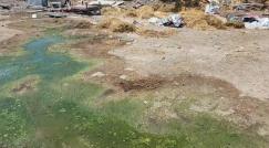 اللد: مياه الصرف الصحي تغمر أحد الشوارع بحي السكة بالمدينة 